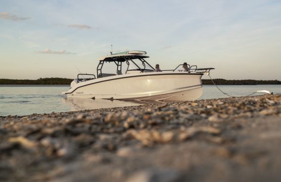 NAVAN T30 (with 2x Mercury 225)