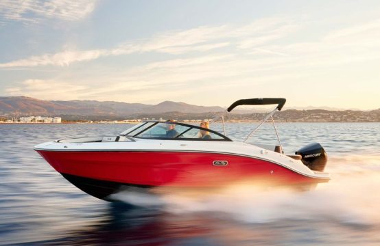 Sea Ray 210 SPX Outboard (New Model 2024)